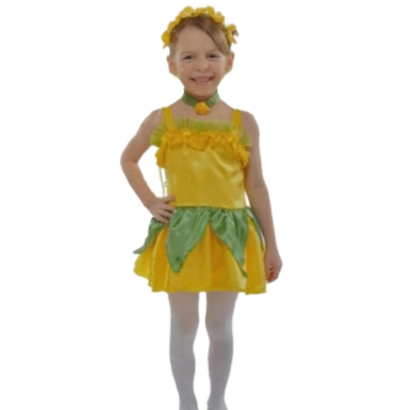 Flower princess toddler  costume Size 2-4 - Picture 1 of 6
